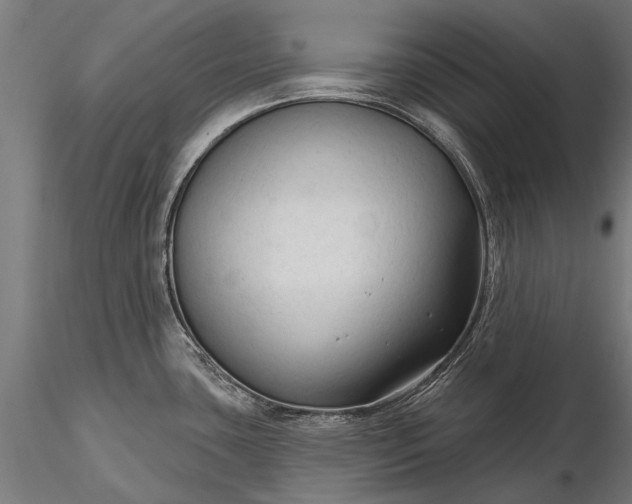 X0000116341435200912151318