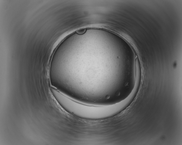 X0000116341436200912151318