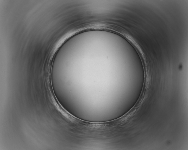 X0000116341437200912151318