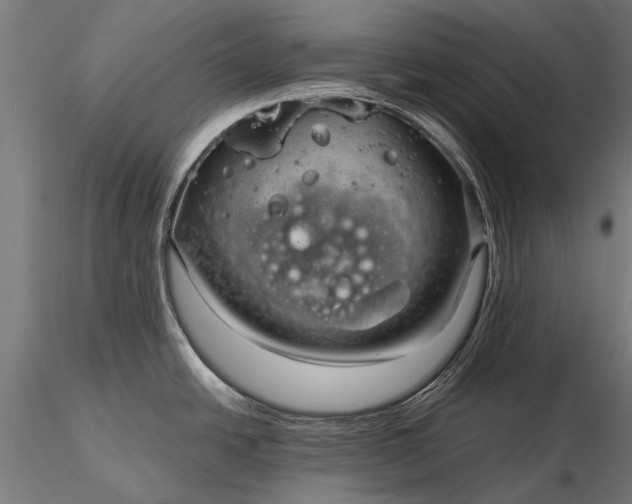 X0000116341438200912151318