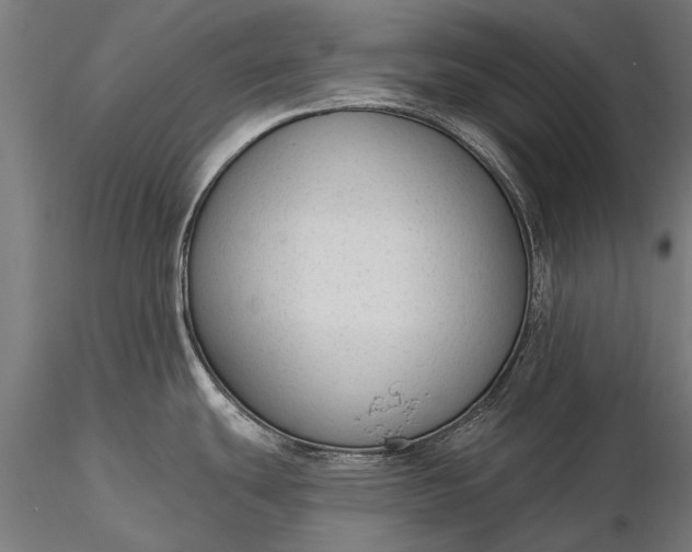 X0000116341439200912151318