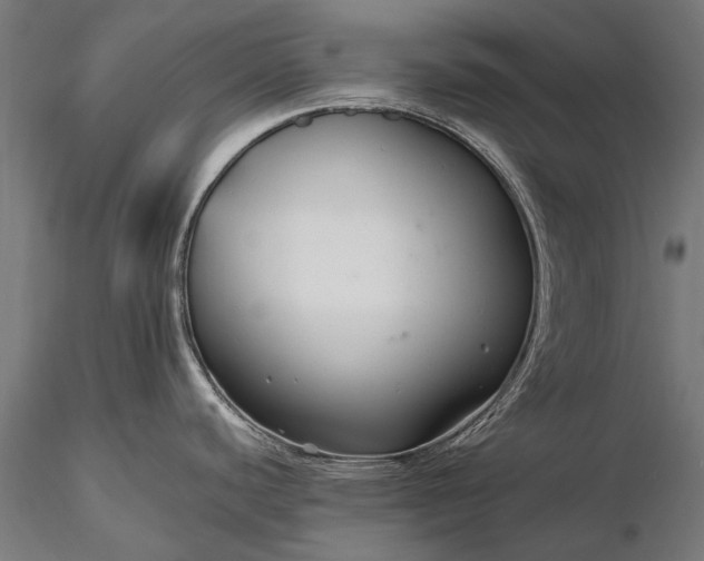 X0000116341440200912151318