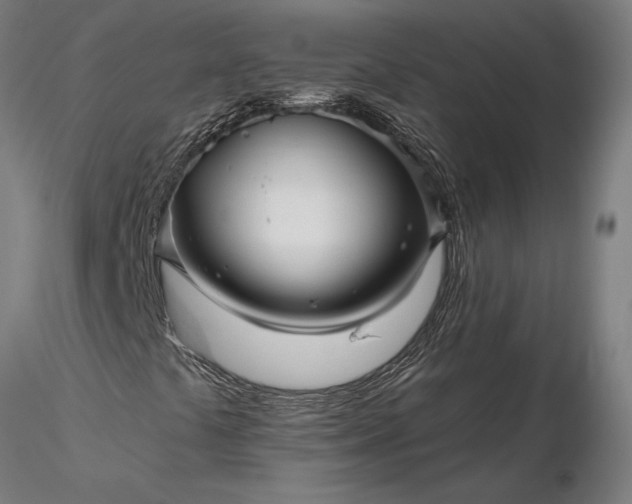 X0000116341441200912151317