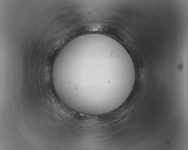 X0000116341442200912151317