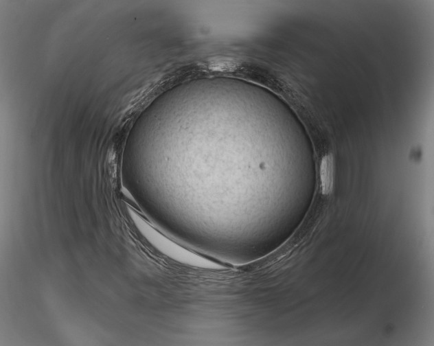 X0000116341443200912151317