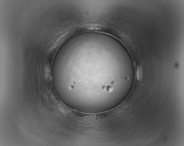 X0000116341444200912151317