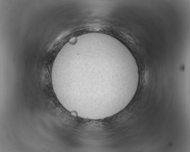 X0000116341446200912151317