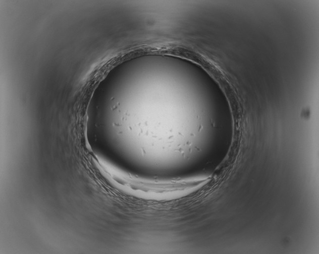 X0000116341447200912151317