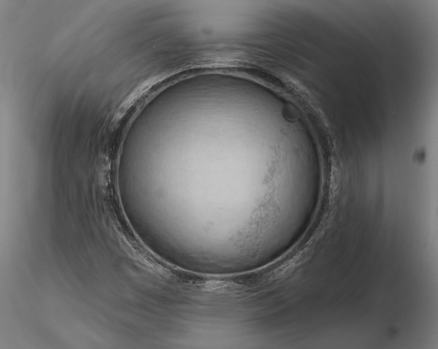 X0000116341449200912151317