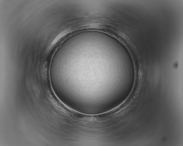 X0000116341450200912151317