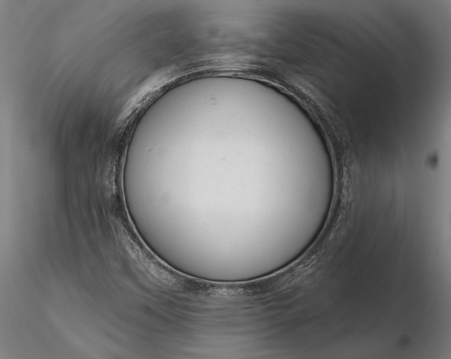 X0000116341451200912151317