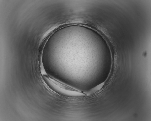 X0000116341452200912151317