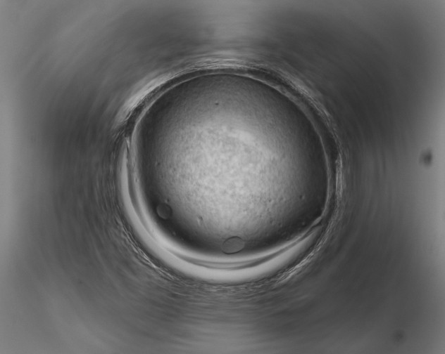 X0000116341453200912151317