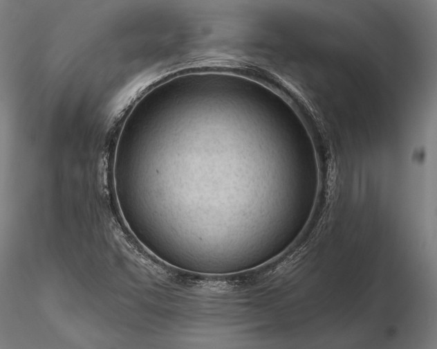 X0000116341455200912151317