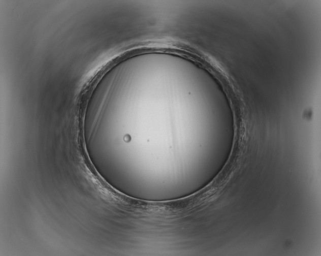 X0000116341456200912151317