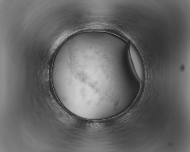 X0000116341459200912151317