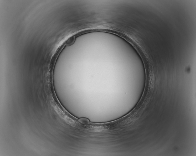 X0000116341460200912151317