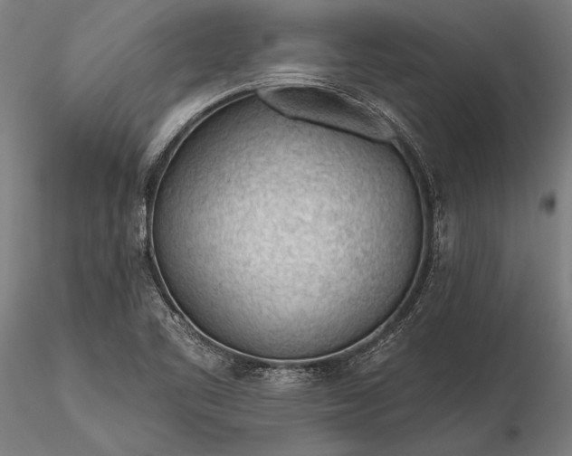 X0000116341461200912151317