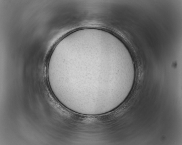 X0000116341462200912151317