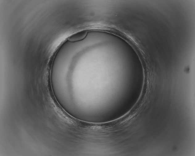 X0000116341463200912151317