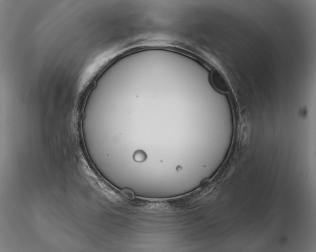 X0000116341464200912151317