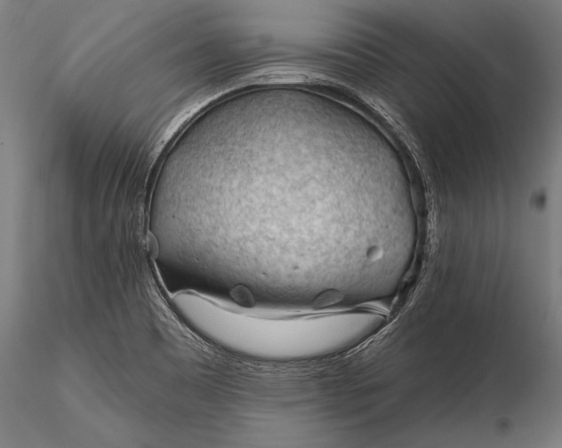 X0000116341465200912151317