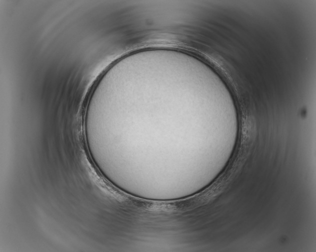 X0000116341466200912151317