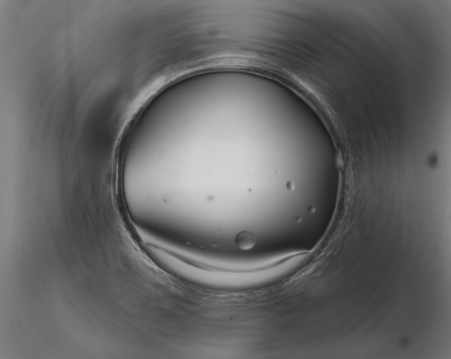 X0000116341467200912151317