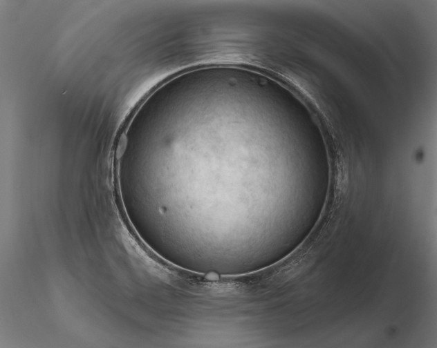 X0000116341468200912151317