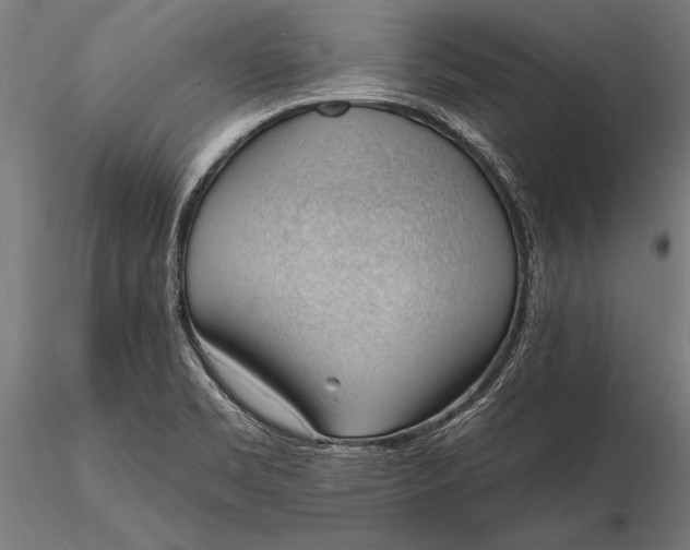 X0000116341469200912151317