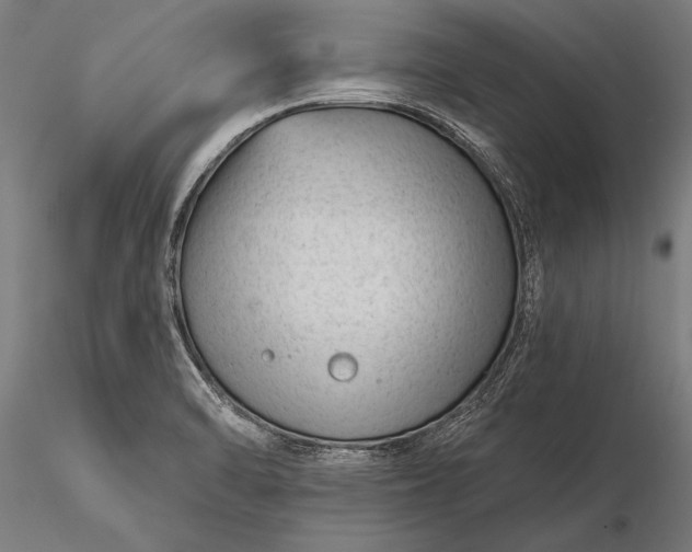 X0000116341470200912151317