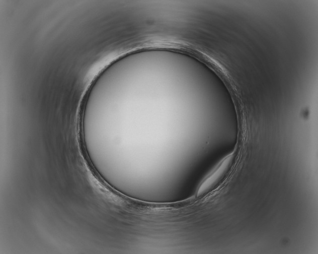 X0000116341471200912151317