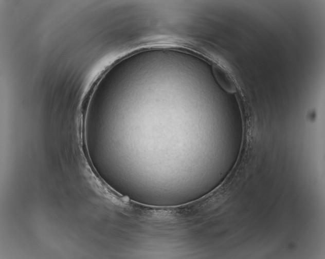 X0000116341472200912151317