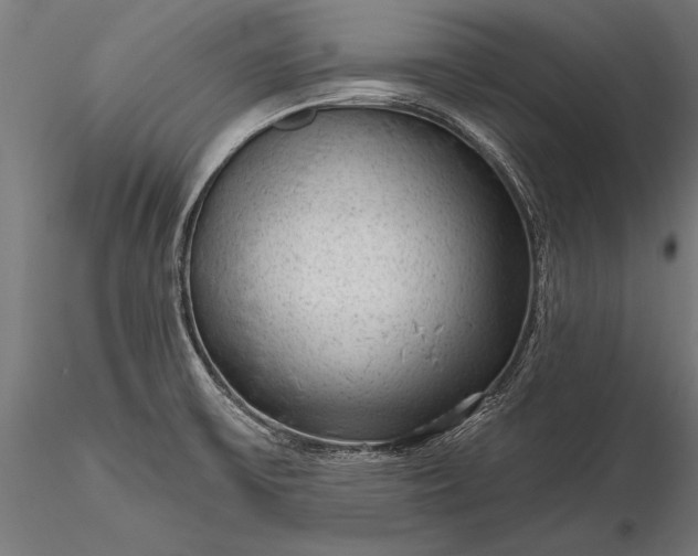 X0000116341475200912151316