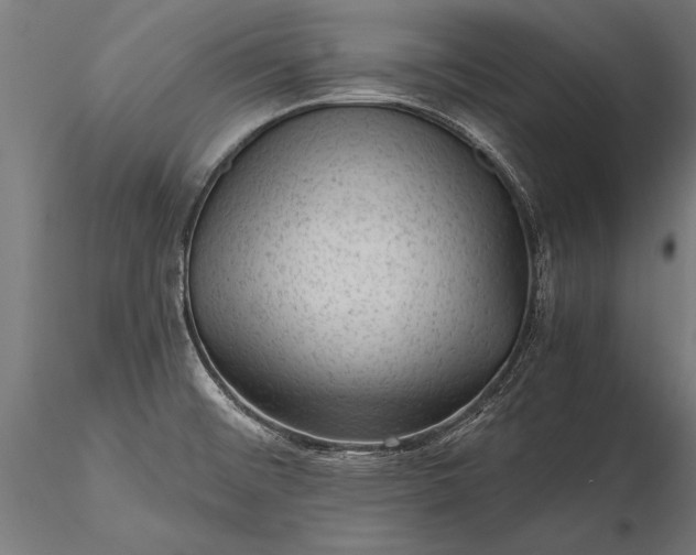 X0000116341476200912151316