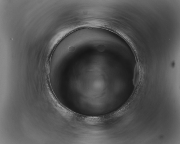 X0000116341477200912151316