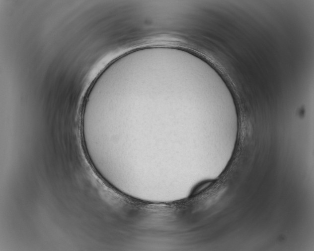 X0000116341478200912151316