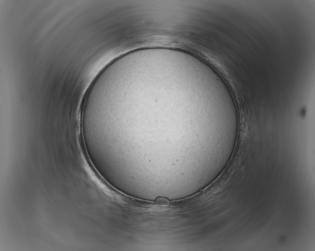 X0000116341479200912151316