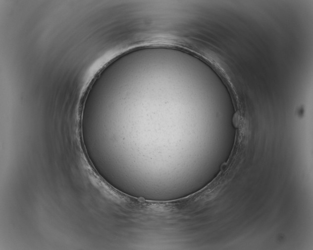 X0000116341480200912151316