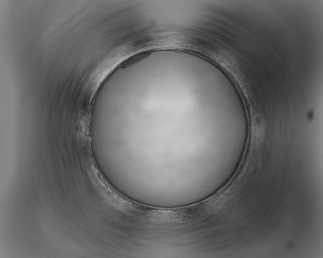 X0000116341481200912151316