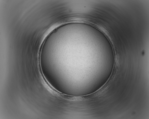 X0000116341482200912151316