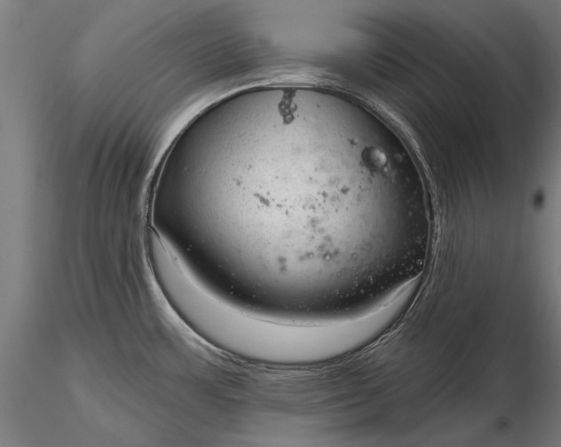 X0000116341483200912151316