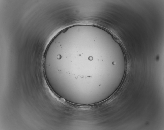 X0000116341484200912151316