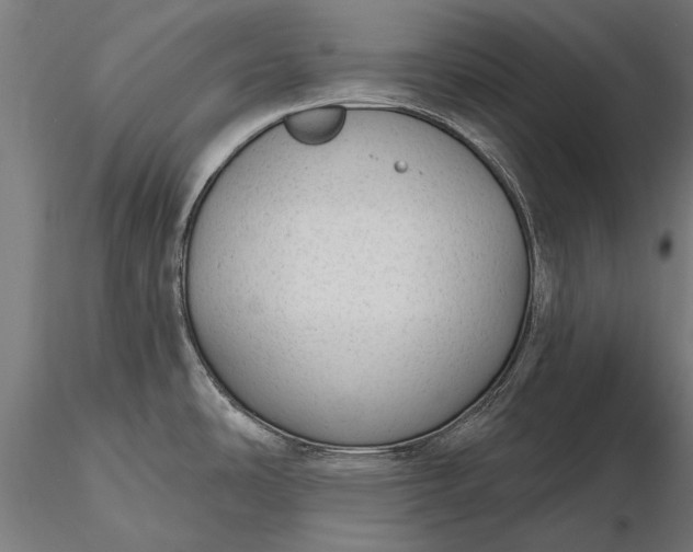 X0000116341486200912151316