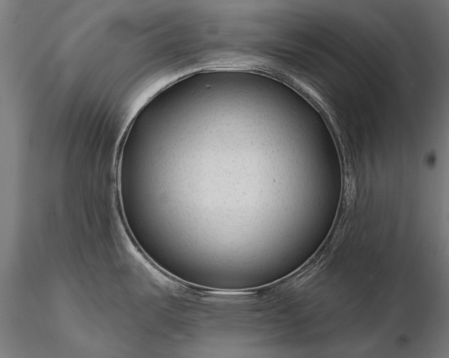 X0000116341487200912151316