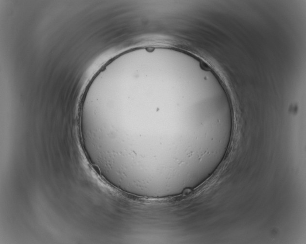 X0000116341488200912151316