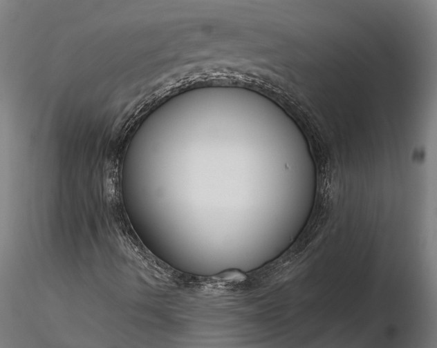 X0000116341490200912151315