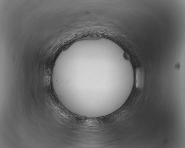 X0000116341491200912151316