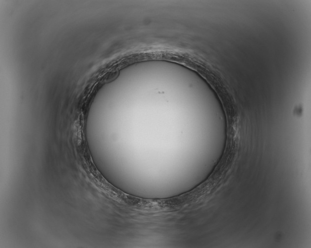 X0000116341493200912151316