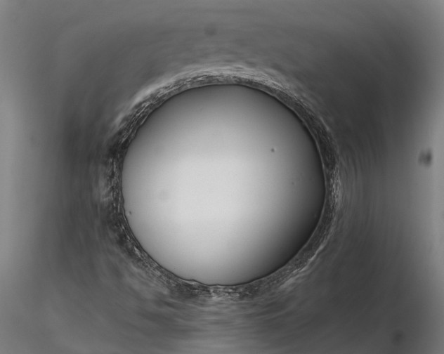 X0000116341494200912151316